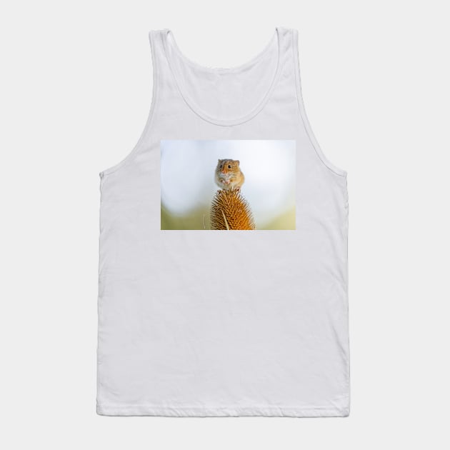 Harvest Mouse on Teasel Tank Top by GrahamPrentice